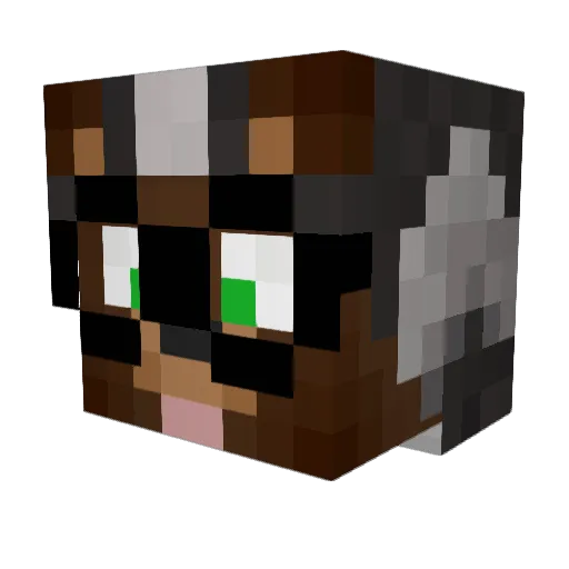 einnilsityyyyy Minecraft avatar head, 3D render
