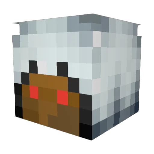 einopee Minecraft avatar head, 3D render