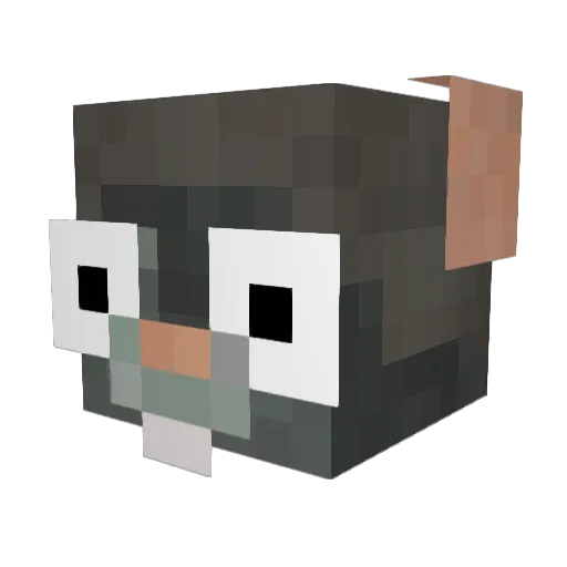 einsMika Minecraft avatar head, 3D render