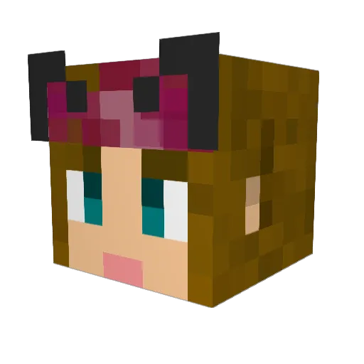 einschaf Minecraft avatar head, 3D render