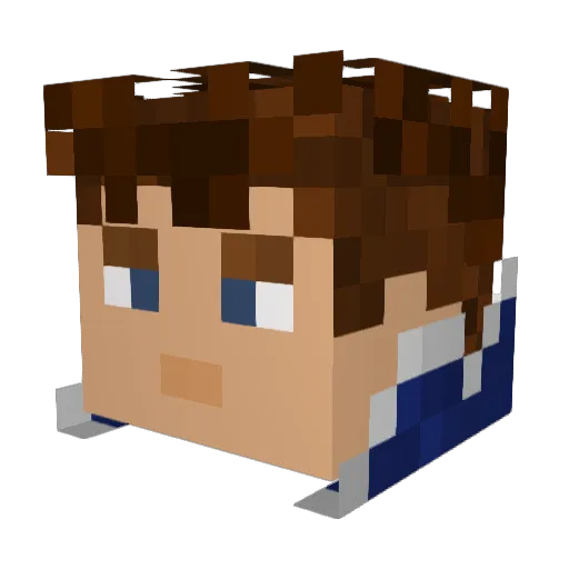 einstijn11 Minecraft avatar head, 3D render