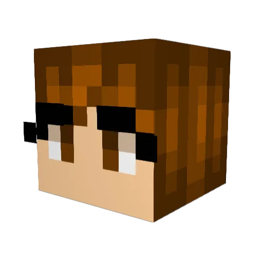 eiorising Minecraft avatar head, 3D render