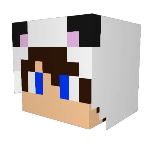 eiru_zeazu Minecraft avatar head, 3D render