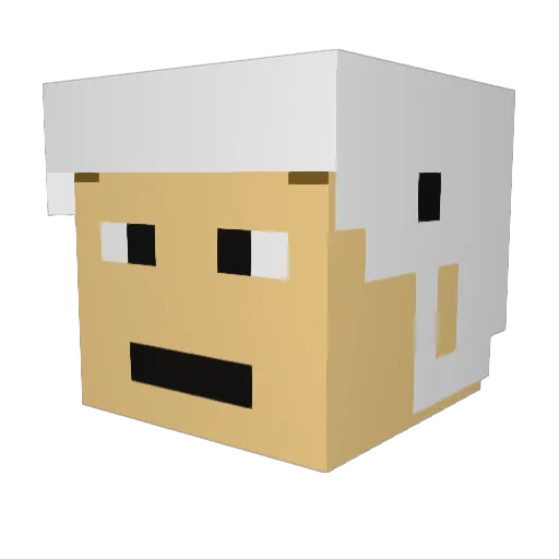 eisler17 Minecraft avatar head, 3D render