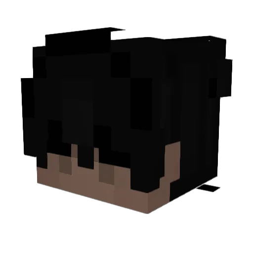 eismmdm1 Minecraft avatar head, 3D render