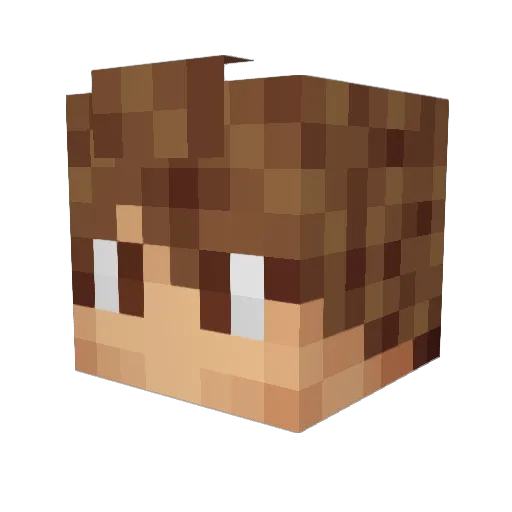 eiwoc Minecraft avatar head, 3D render