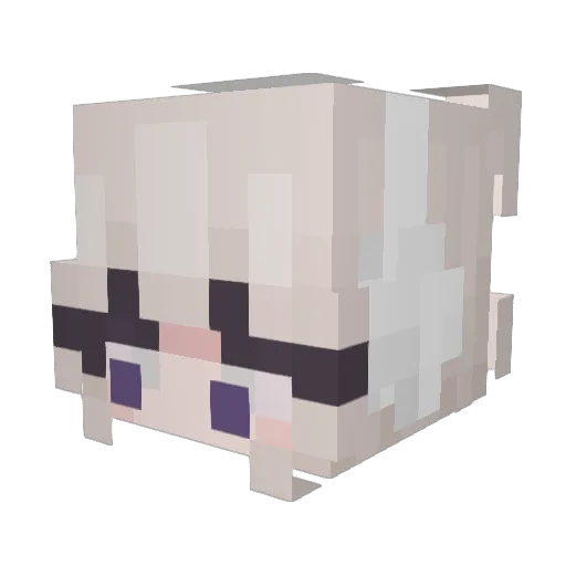 ej1208 Minecraft avatar head, 3D render