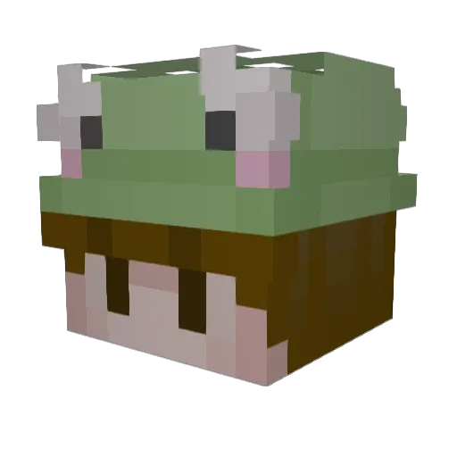 ej6276 Minecraft avatar head, 3D render