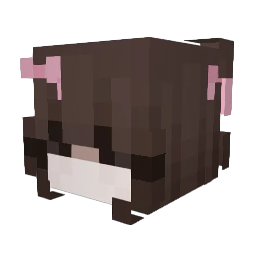 ejasmine Minecraft avatar head, 3D render