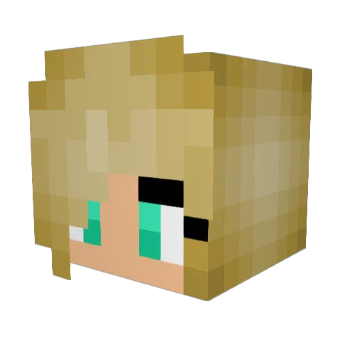 ejde91 Minecraft avatar head, 3D render