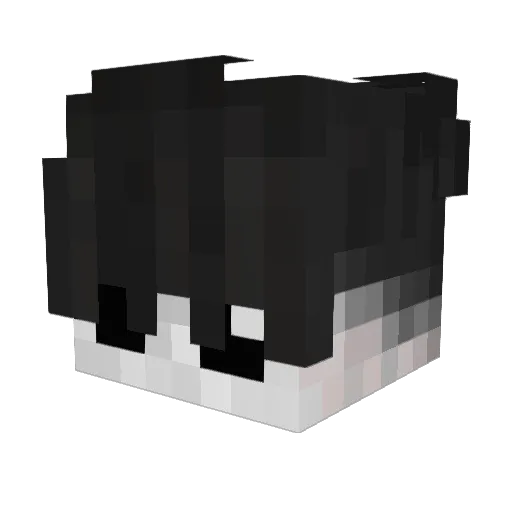 ejne Minecraft avatar head, 3D render