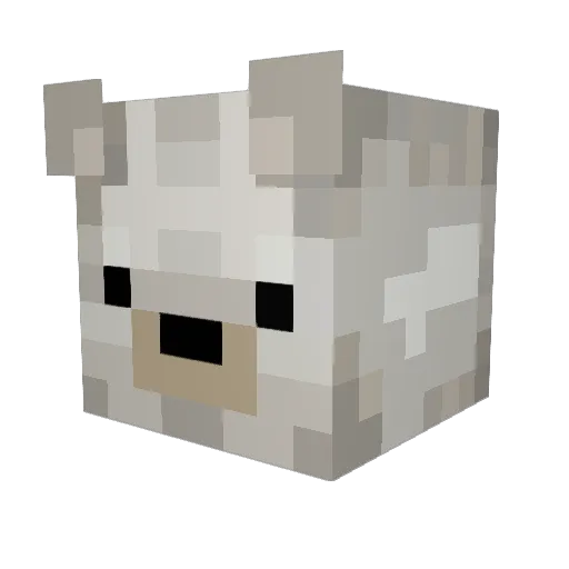 ejpro97 Minecraft avatar head, 3D render
