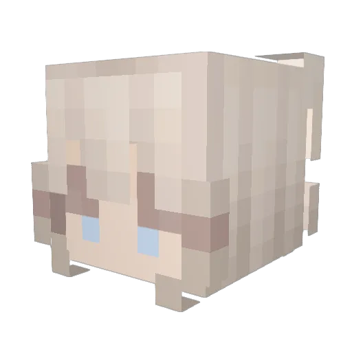 ejt0 Minecraft avatar head, 3D render