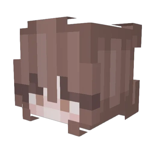 ejthedj0001 Minecraft avatar head, 3D render