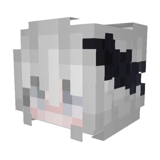 ejtksxk Minecraft avatar head, 3D render