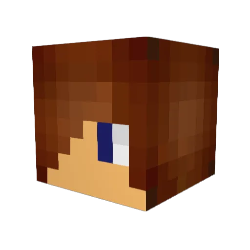 ejw04 Minecraft avatar head, 3D render