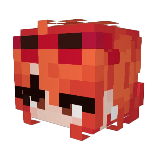 ekopl Minecraft avatar head, 3D render