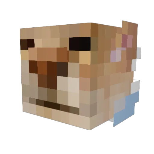 ekubuh Minecraft avatar head, 3D render