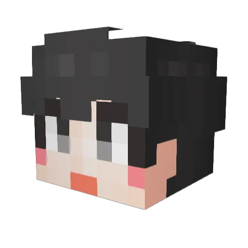 ekyi Minecraft avatar head, 3D render