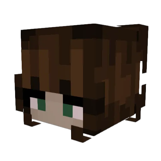 el11n4 Minecraft avatar head, 3D render