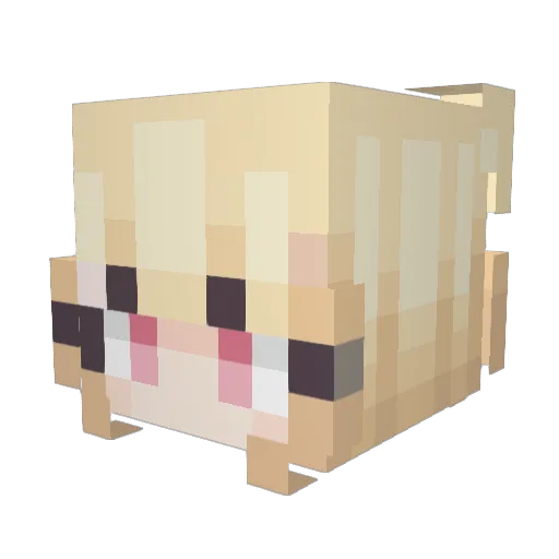 el1as14 Minecraft avatar head, 3D render