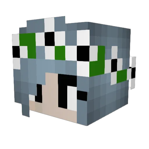el3r1 Minecraft avatar head, 3D render
