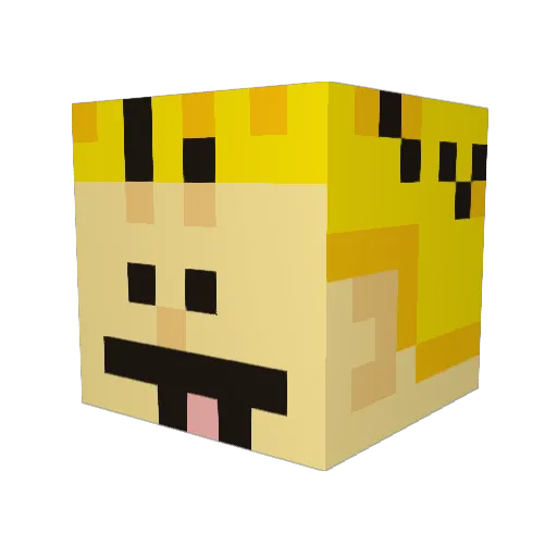 elMerkaba Minecraft avatar head, 3D render