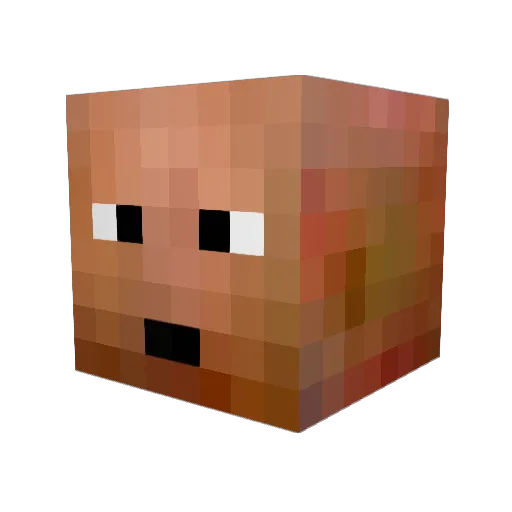 el_costaricense Minecraft avatar head, 3D render
