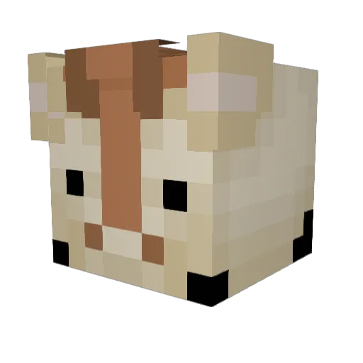 el_jirafa Minecraft avatar head, 3D render