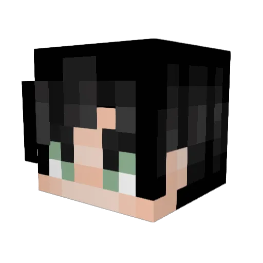el_jonny123 Minecraft avatar head, 3D render