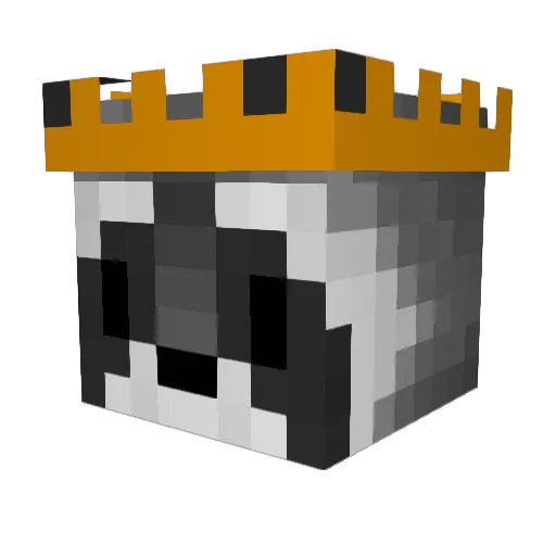 el_rey_mapache Minecraft avatar head, 3D render
