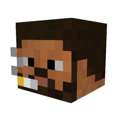 elaasun1 Minecraft avatar head, 3D render