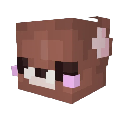 elahechan Minecraft avatar head, 3D render