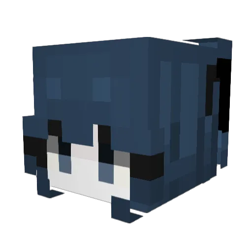 elani3 Minecraft avatar head, 3D render