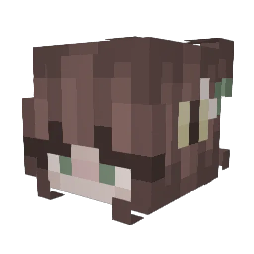 elaqva Minecraft avatar head, 3D render