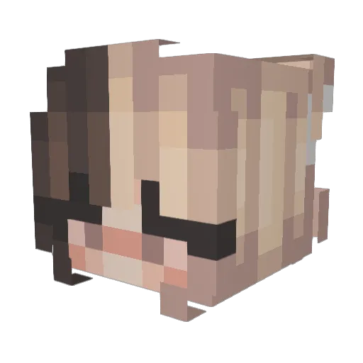 elastagirl8 Minecraft avatar head, 3D render