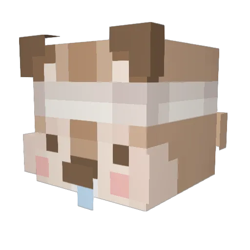 elbot2573 Minecraft avatar head, 3D render