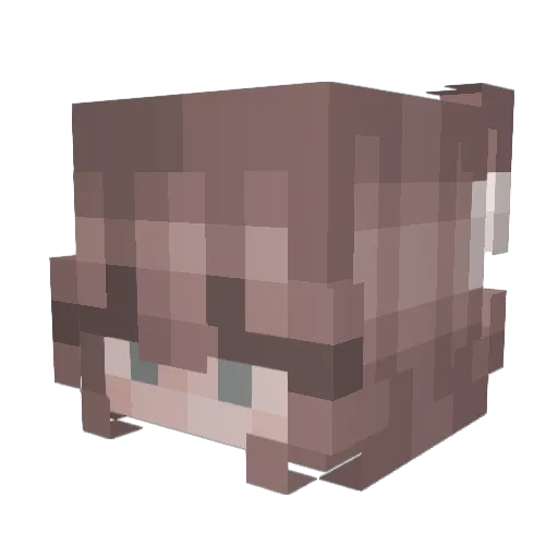 elcia_ Minecraft avatar head, 3D render