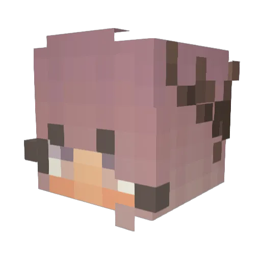elcourto Minecraft avatar head, 3D render