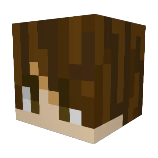 eldarien321 Minecraft avatar head, 3D render