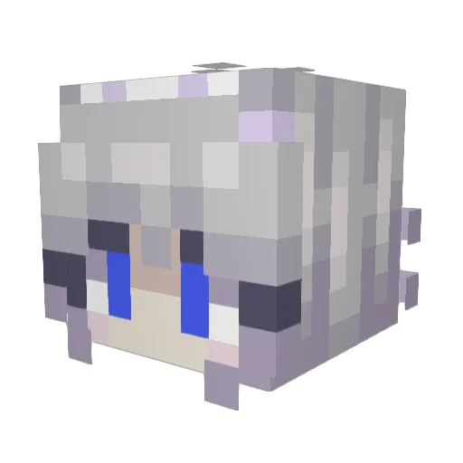 eldest56478 Minecraft avatar head, 3D render