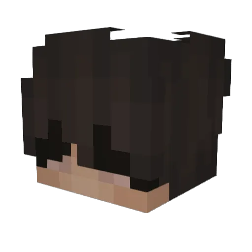 eldidler Minecraft avatar head, 3D render