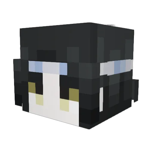 ele1141 Minecraft avatar head, 3D render