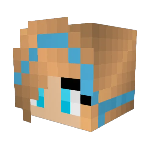 elean0r9 Minecraft avatar head, 3D render