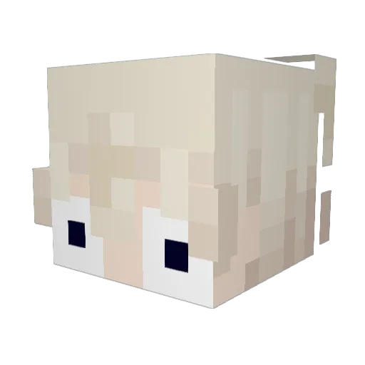 electr4s Minecraft avatar head, 3D render