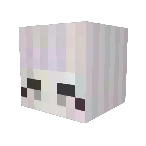electra4564 Minecraft avatar head, 3D render