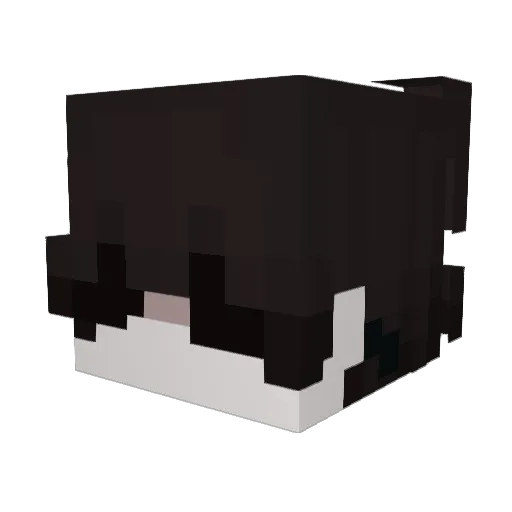 electricdesire Minecraft avatar head, 3D render