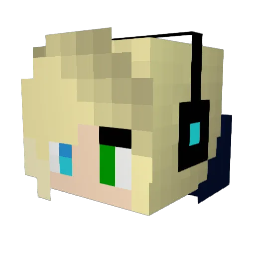 electricdolphin Minecraft avatar head, 3D render
