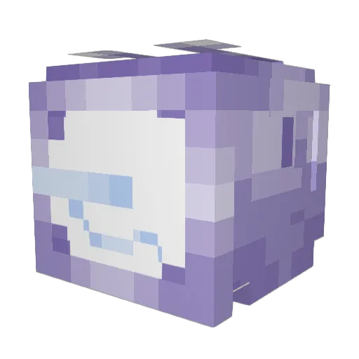 electricdude16 Minecraft avatar head, 3D render