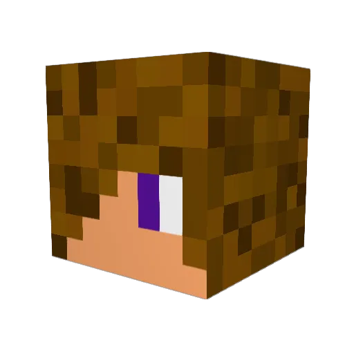 electricpro7 Minecraft avatar head, 3D render